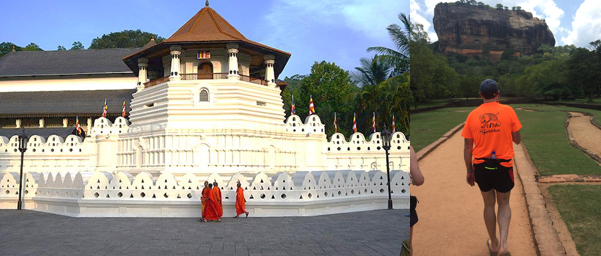 2026 trail sri lanka04